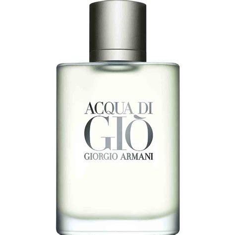 giorgio armani acqua di gio dupe|acqua di gio perfume review.